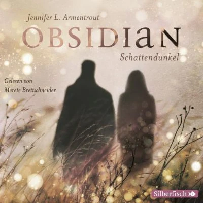 Obsidian: Schattendunkel, 5 Audio-CDs